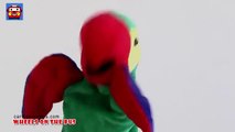 Hey Diddle Diddle Kids Rhymes __ Parrot puppets Rhymes Children Funny Kids Rhymes