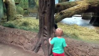 Toddler playing Gorilla Toddler at the Columbus Zoo!