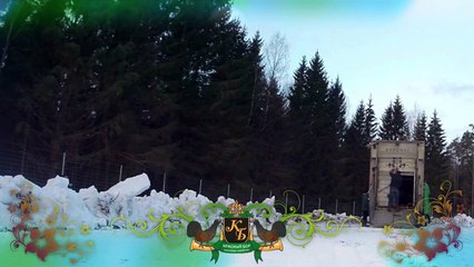 Выпуск благородных оленей. The output of Red Deers.