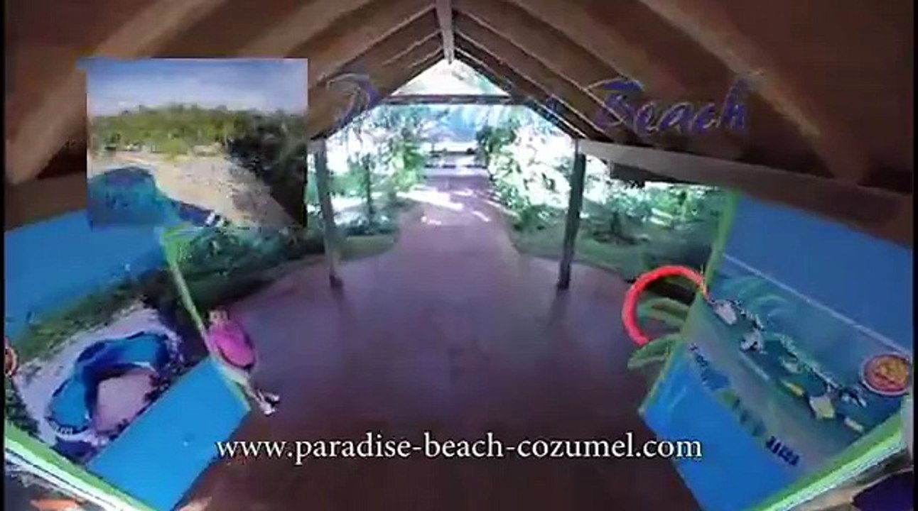 paradisebeachclubincozumelmexico