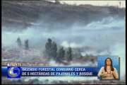 Incendio forestal acabo con cinco hectáreas en Colta