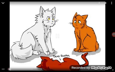 Warrior cats animation, funny moments