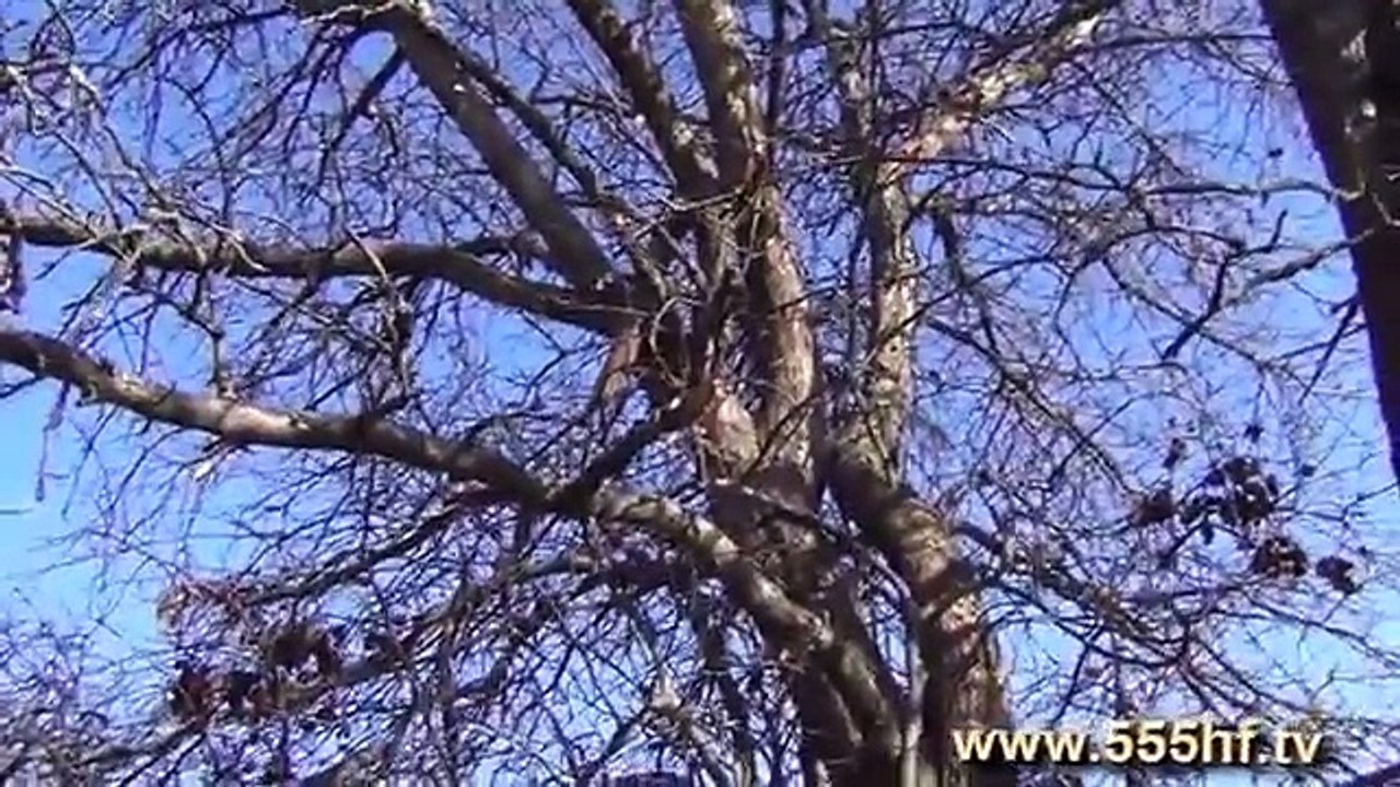 Охота на барсука на засидке. С Алексеем Партизаном.
