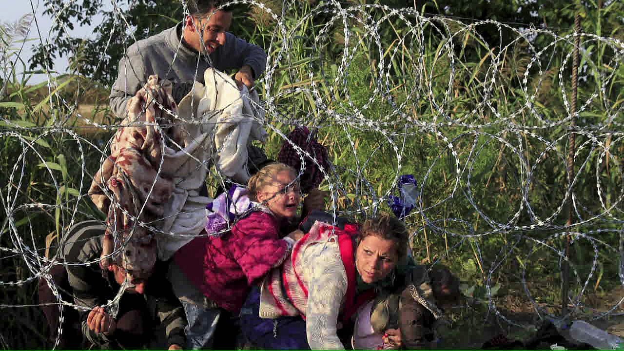 O filhote de Putin e a crise de refugiados