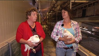 Het Weer: Harma bie de boer [1-9-2015] - RTV Noord