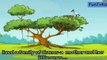 Panchatantra Tales - Foolish Crane - Short Stories for Children - Animated/Cartoon Stories for Kids