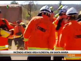 INCÊNDIO ATINGE ÁREA FLORESTAL EM SANTA MARIA