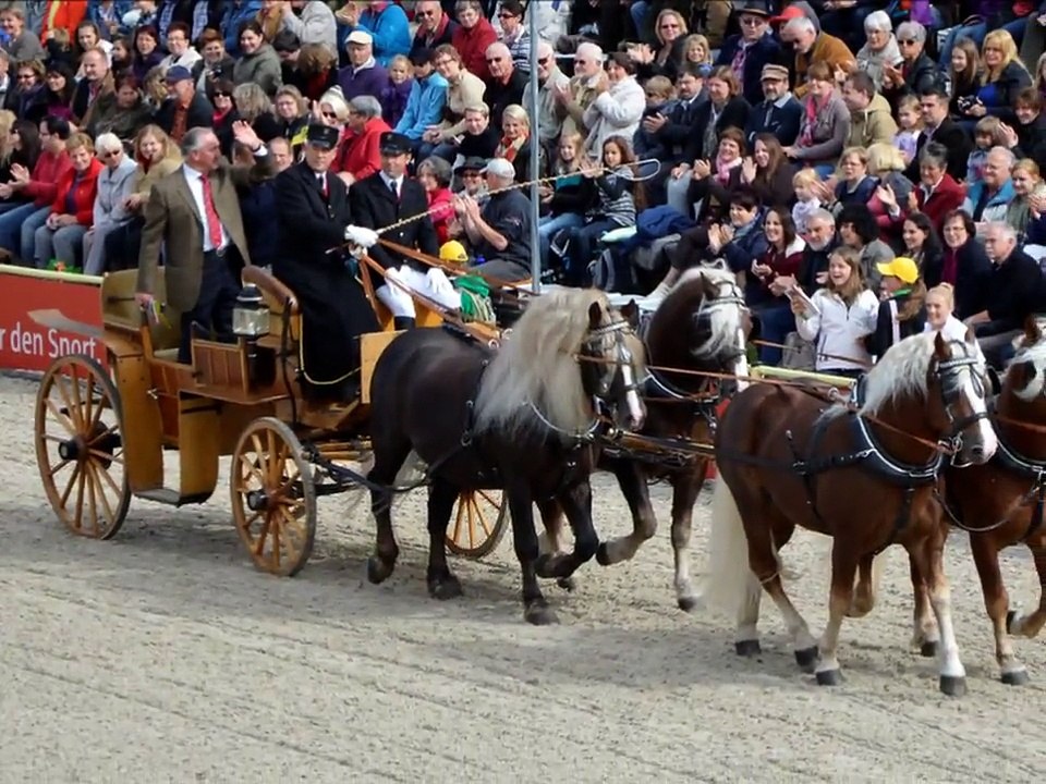 Hengstparade Marbach 2012