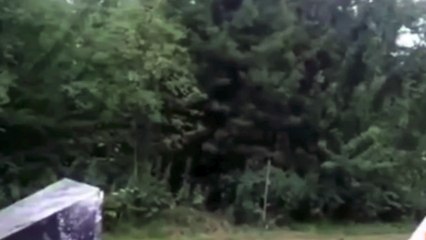 These fools have complaints and z57 agrees