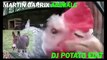 Martin garrix animals (DJ potato edit)