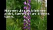 Navnet Jesus Blekner Aldri - Oslo Gospel Choir