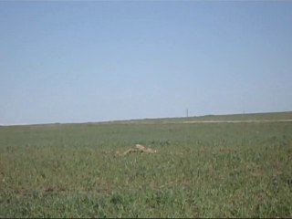 Entre Lalla Fattoum et Lalla Khedidja (Djurdjura).