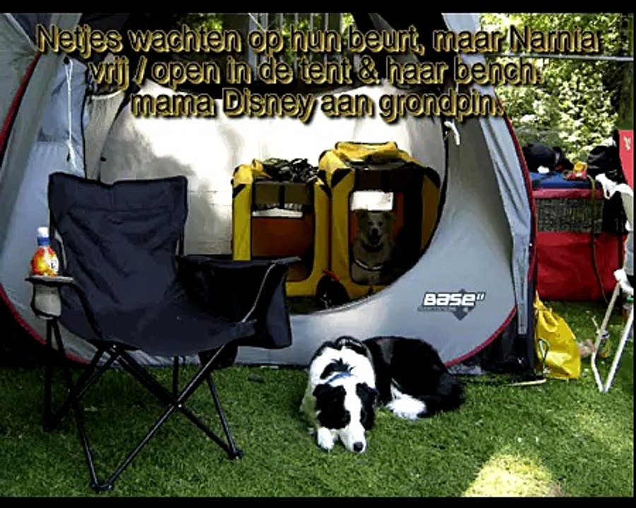 Narnia-OCK-behendigheid-agility-2009.avi