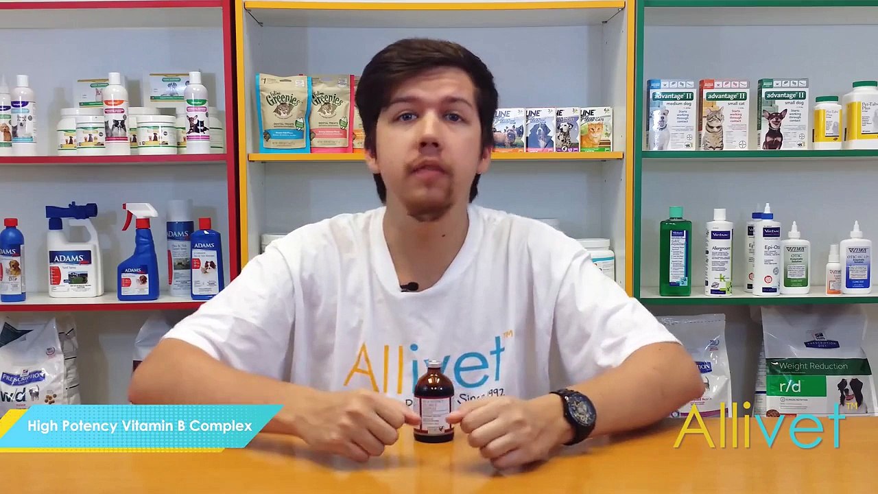 High Potency Vitamin B Complex