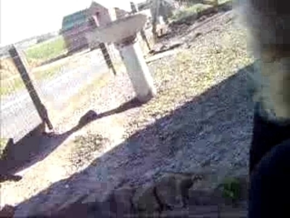 MDR