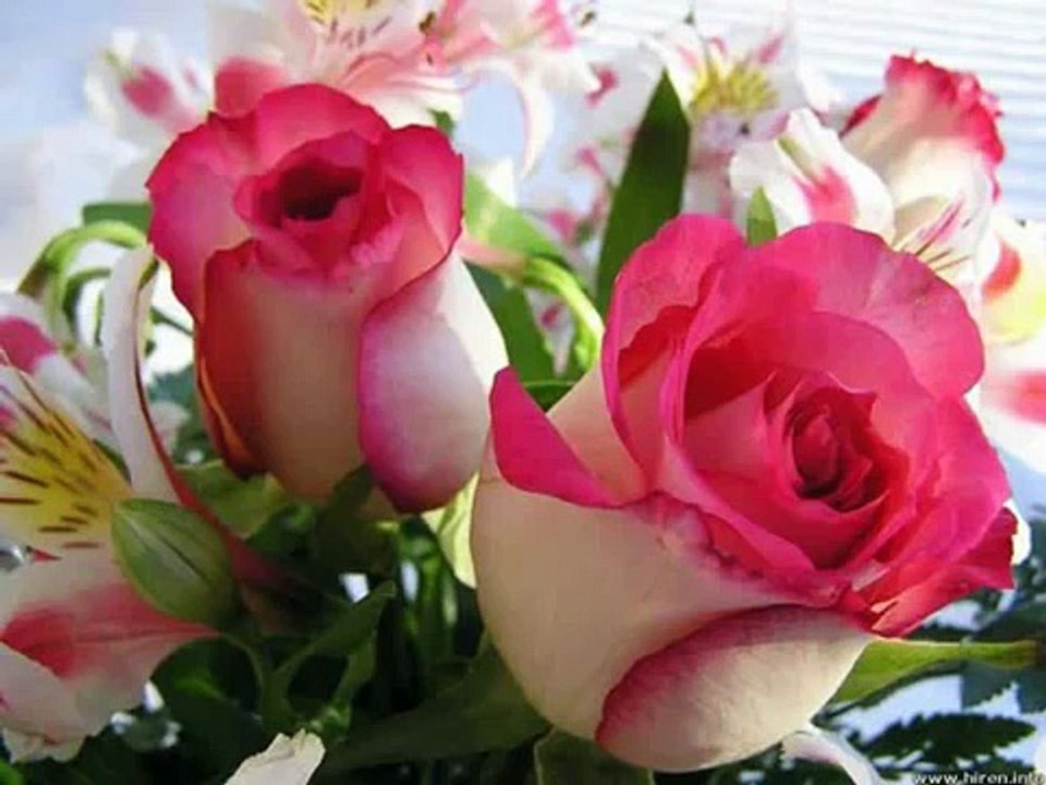 Raùl Di Blasio Piano de amor- Por Willian M