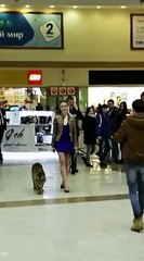 Красиво жить не запретишь