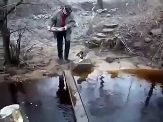 НАД КОТОМ СМЕЯЛАСЬ ДОЛГО