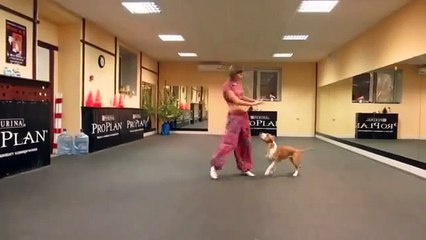 Хозяйка танцует со своей собакой