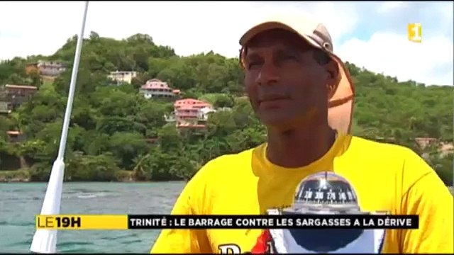 Barrage anti-sargasses à Trinité