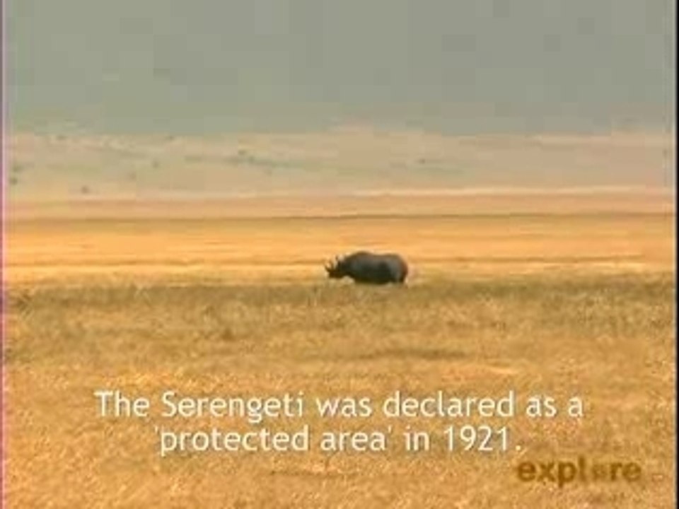 Serengeti