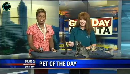 Funny videos Fails compilation July 2015 #6