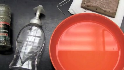 Surface Tension Experiment