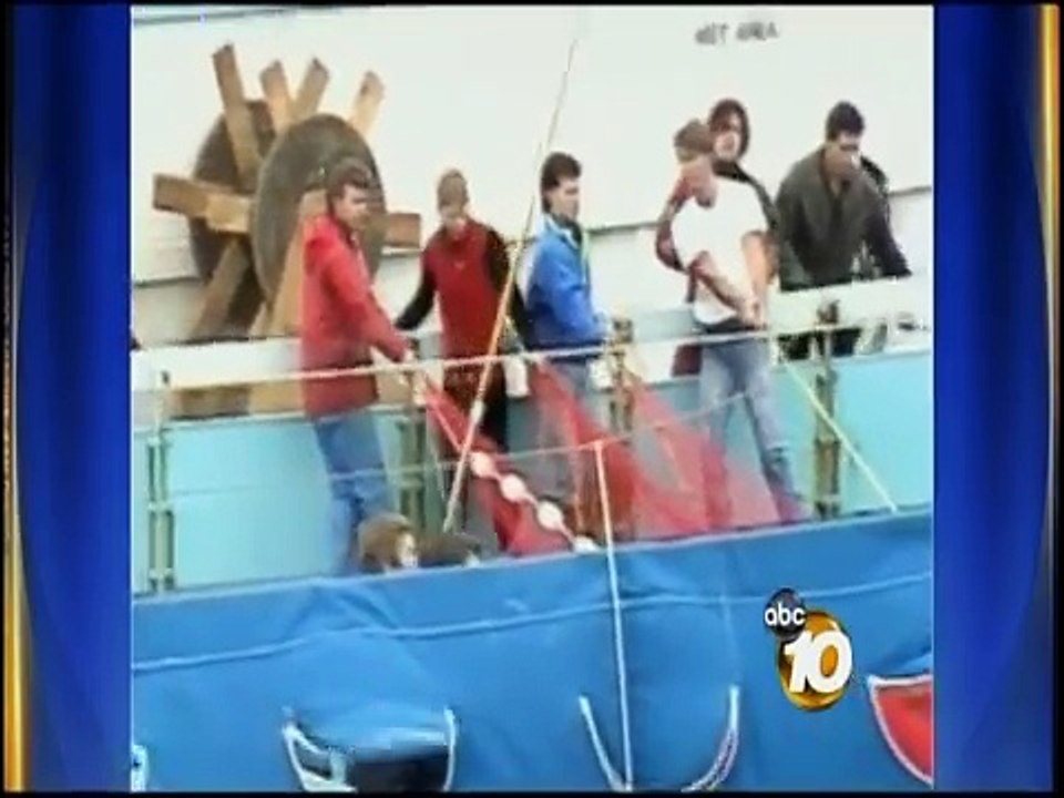 Orlando SeaWorld Trainer Killed - 10News Investigates the History of Killer Whale Attacks