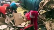 Chinese Villagers Scramble To loot baby chicks After Truck Crash