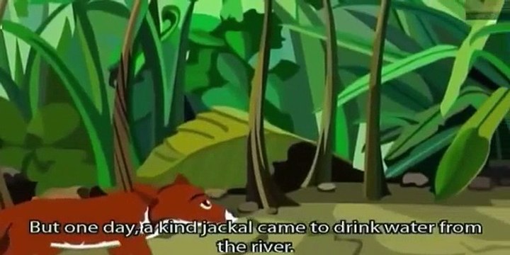 Jataka Tales - The Jackal Who Saved The Lion - Short Stories for Kids - Animated / Cartoon Stories
