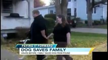 Dog Saves the Lives of Family That Adopted Him
