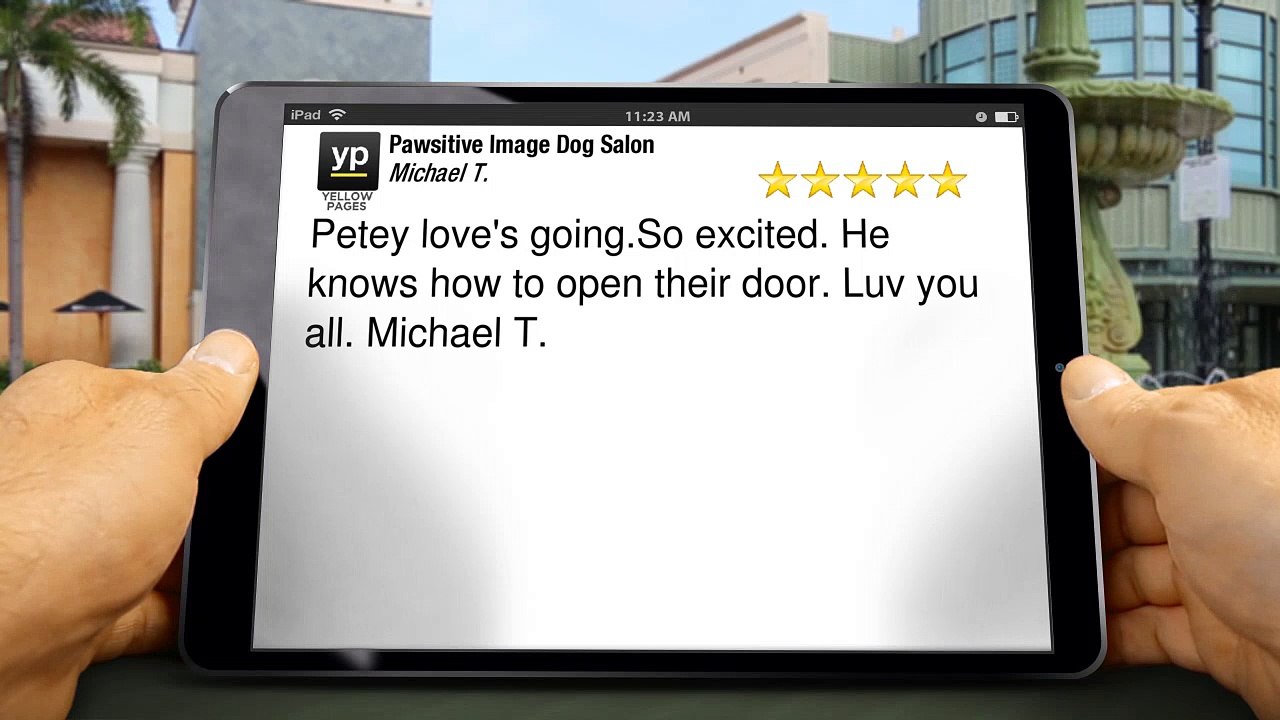 Pawsitive Image Dog Salon Spokane Outstanding5 Star Review by Michael T.