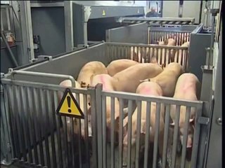 Peppa Pig episode final FR