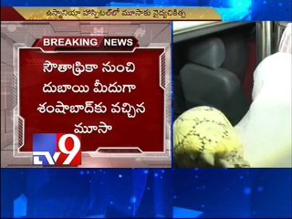Woman 'Pregnant' with Drugs gets arrested