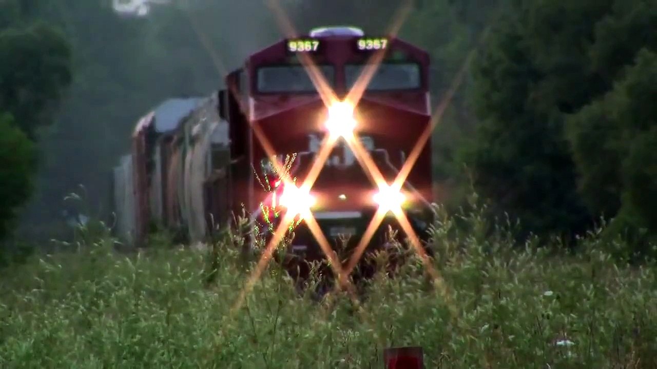 CP 246