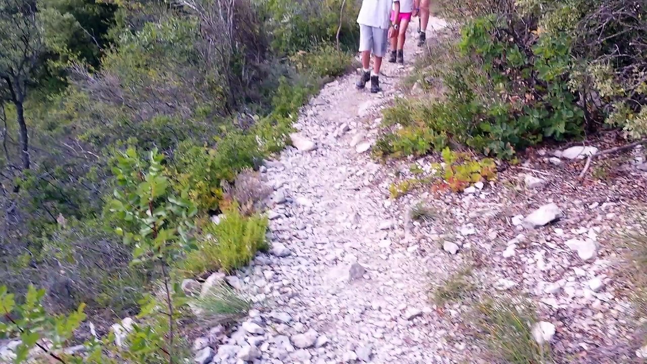 20150809_165750