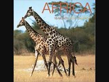 In Africa Nuova canzone scritta e cantata da MEMO REMIGI