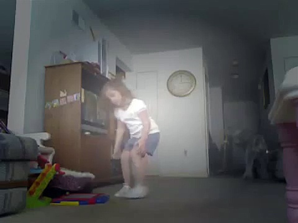 Funny dog playing tug of war