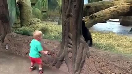 Facebook: Niño jugando a las escondidas con gorila es viral en Internet