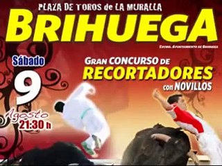 Concurso Recortadores Brihuega 2008 parte 1