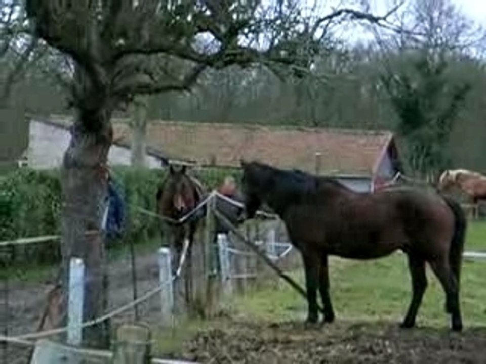 DSCN6051