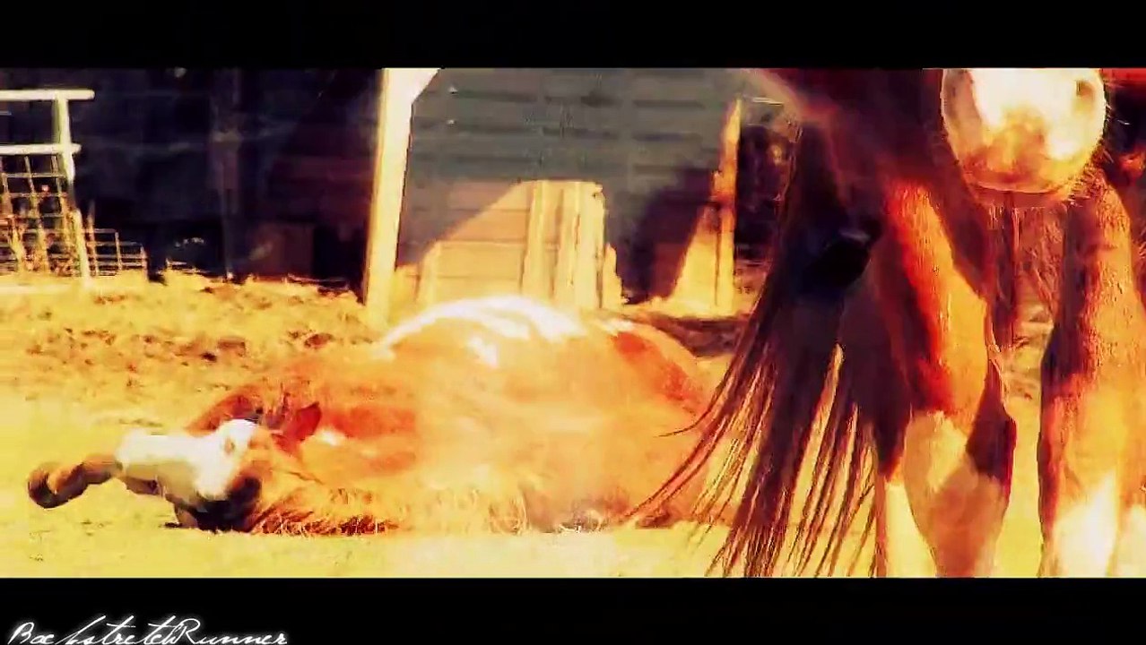 Under the sheets, you're killing me.