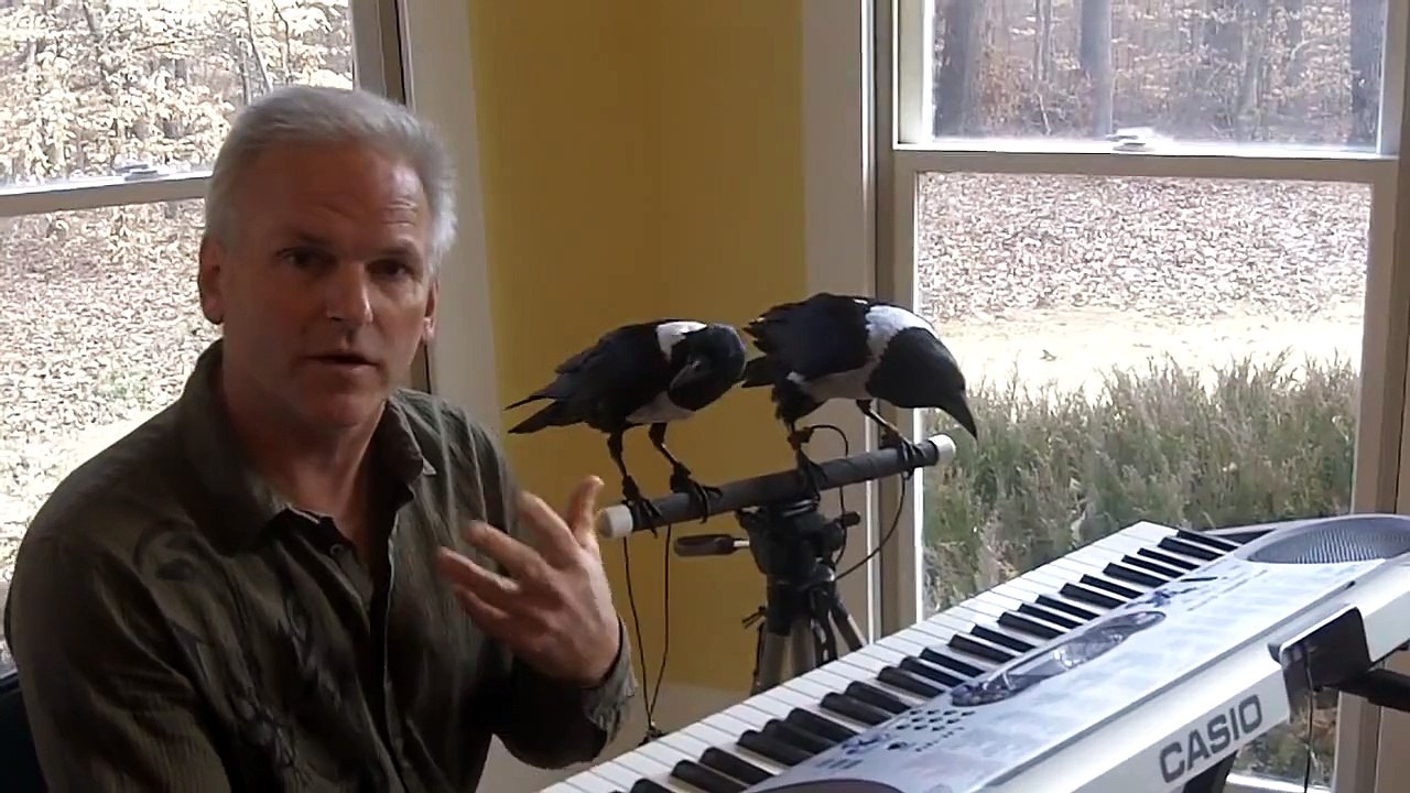 Mac and Moe playing piano.MOV