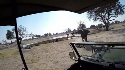 Moment elephant attacks safari truck