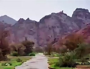 Ya Allah Forgive Us – Dawn Travels