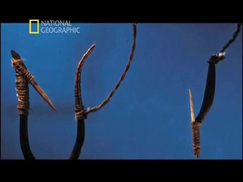 Bilimin Ta Kendisi: Buzul Çağının Ertesi