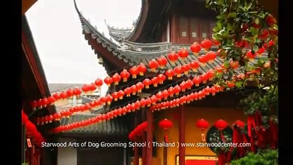 Creative Grooming Dog Fashion Show 2009  (Starwood ) Part 3of 6(China dog and Creative)