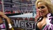 WWE Wrestlemania 26 Bret Hart vs Vince McMahon 720p HD