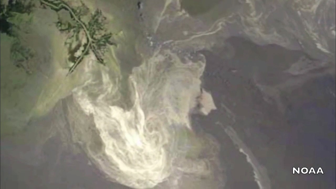 Liberated Carbon - A 3-Minute Musical History of Fossil Fuels