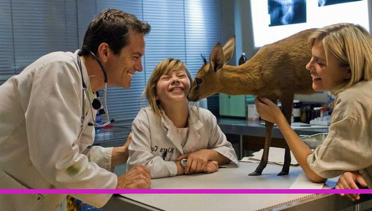 Free Willy: Escape From Pirate's Cove  [HD]Movie  2010 V